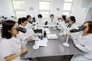 细致入微，见微知著——走进中国医学科学院血液学研究所血液病理诊断中心