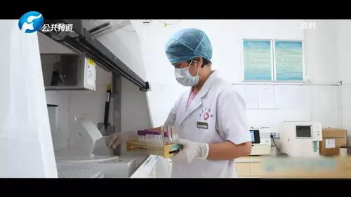 巩义市 高质量推进紧密型县域医共体建设，媒体调研采访活动聚焦医学研究前沿